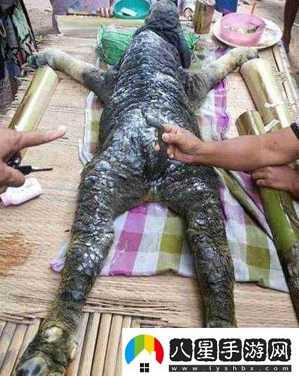 高清人和豬又細(xì)又長像鉆頭