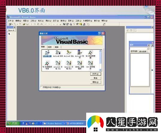 VB語言我嘲我自己的“高光”時刻
