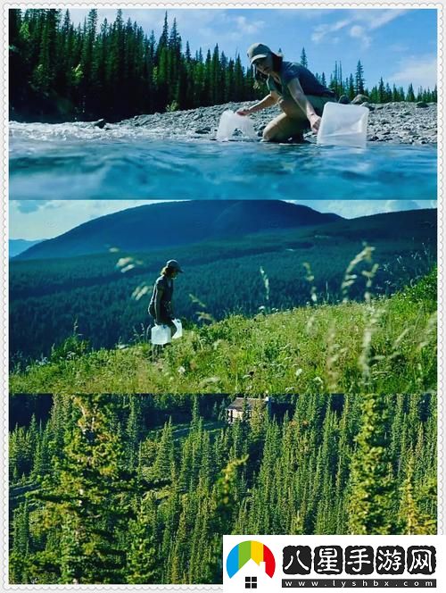 探索“大地資源二中文在線觀看官”的魅力與價值