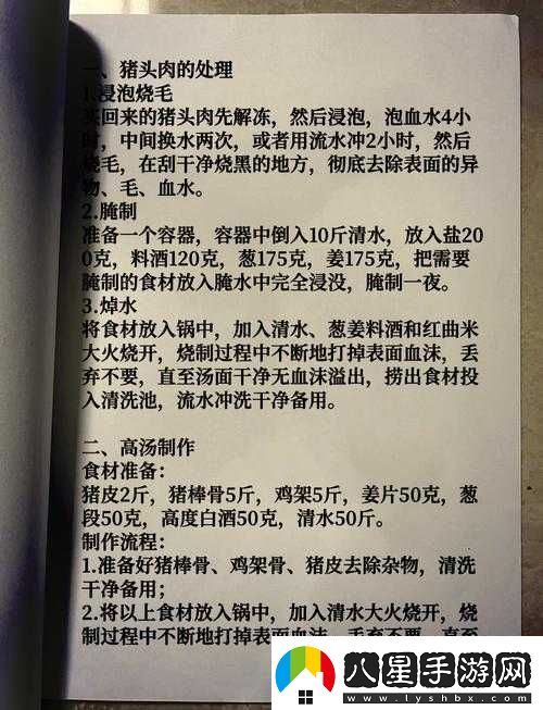 探索薩布茲燉肉獨特魅力及其傳統(tǒng)制作秘籍與技巧詳解