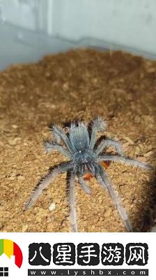 鐳明閃擊手游評測和截圖2022年最新綜述