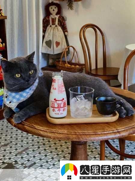 貓咪當(dāng)?shù)觊L(zhǎng)萌翻你的經(jīng)營(yíng)夢(mèng)