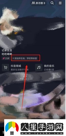 抖音的IP地址是怎么顯示的