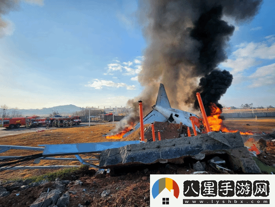 韓國(guó)撞墻客機(jī)乘客名單公布