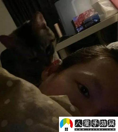 半夜裝睡配合孩子陰陽(yáng)調(diào)和