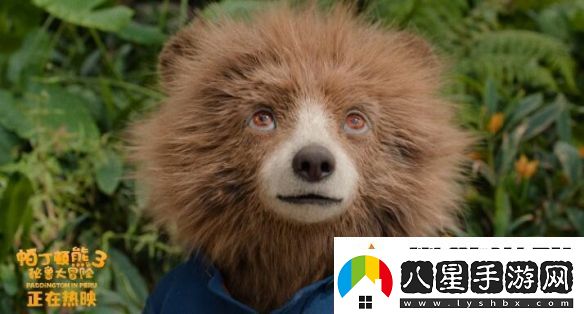 熱映中！帕丁頓熊3