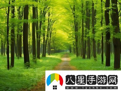 如何為隊友提供森林資源