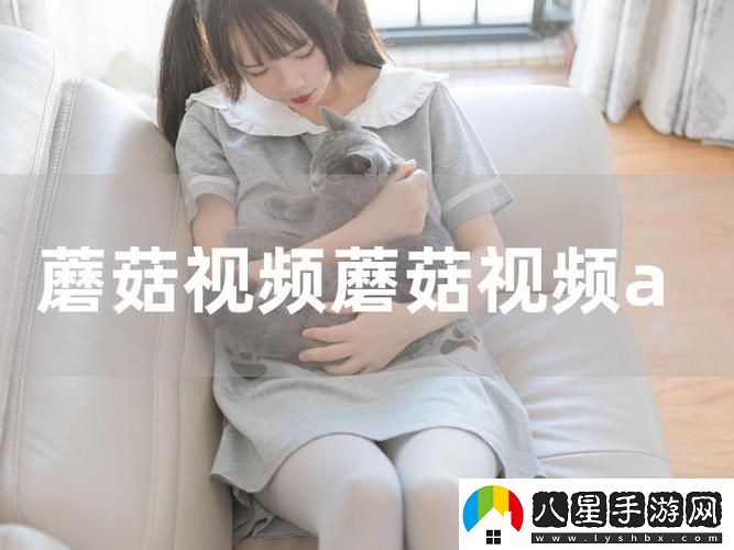 蘑菇視頻頁(yè)版入口