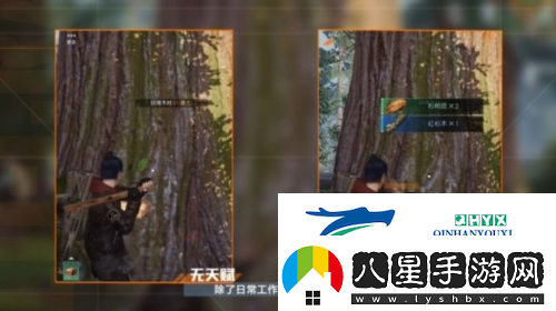 黎明覺醒采集怎么沒有經(jīng)驗了