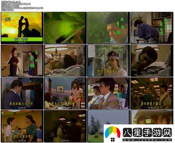 含羞草免費(fèi)觀看電視劇的背景故事