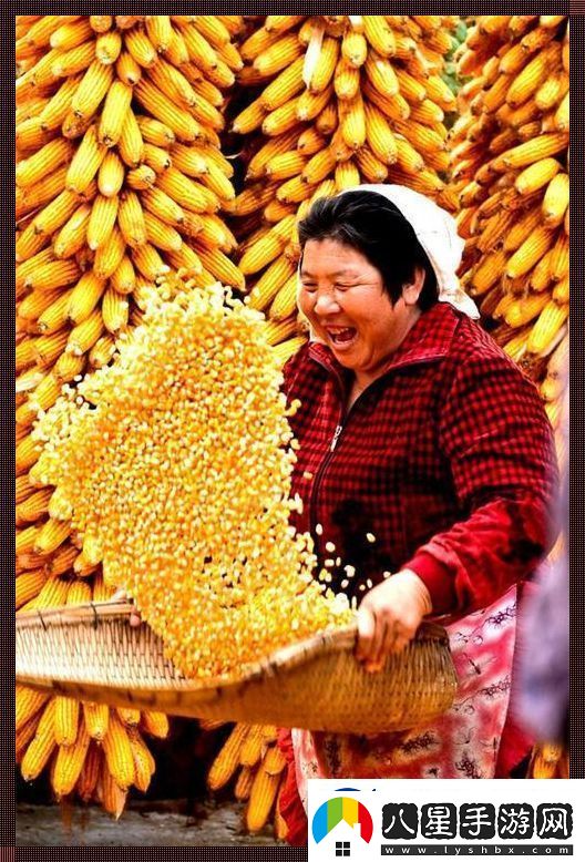 豐年盛宴網(wǎng)噴們的口水仗