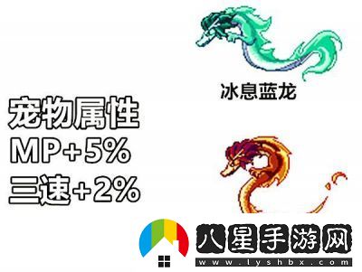 DNF年寵豪華對比