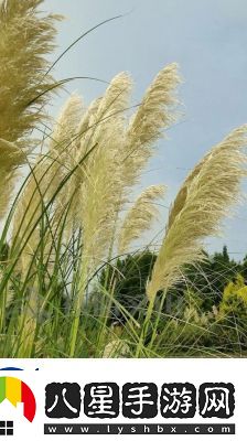 田福和母親在蘆葦中對話