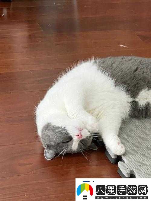 下面噗噗的響是什么原因造成的以及相關(guān)解決辦法探討