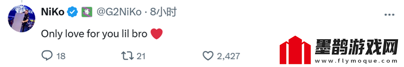 NiKo回復(fù)G2前隊友