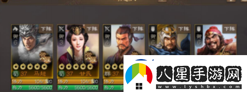 三國志戰(zhàn)棋版新手陣容怎么搭配