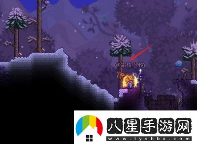 泰拉瑞亞骷髏商人的刷新條件和如何尋找