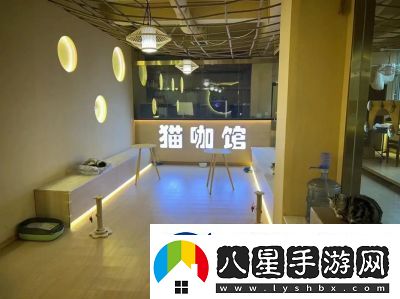 貓咪與湯宮貓?bào)w驗(yàn)館奉旨擼貓主題店正式上線