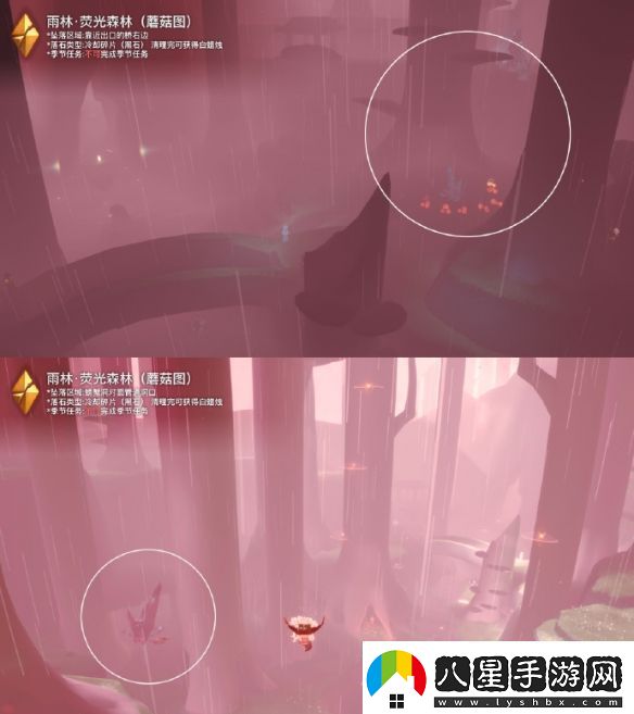 光遇11月14日落石位置一覽2023