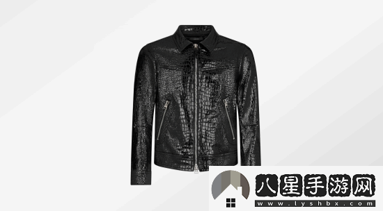 黃仁勛新皮衣超帥！價格曝光