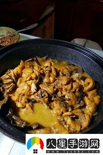 情竇初開意大利蘑菇燉小雞