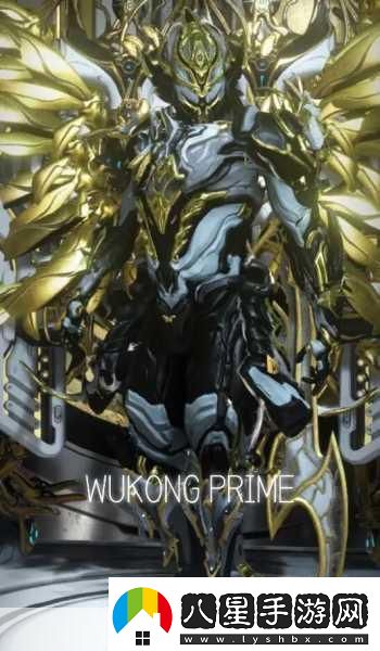 Warframe雙子羅格