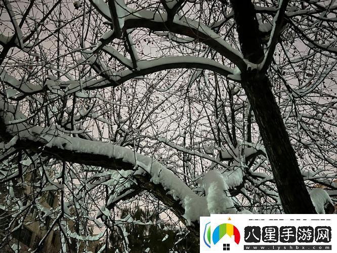 小雪爽?好大?快?深點的奇幻冬日柯林
