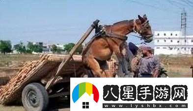 人馬畜禽共性關(guān)系對(duì)生態(tài)平衡及人類發(fā)展的重要意義