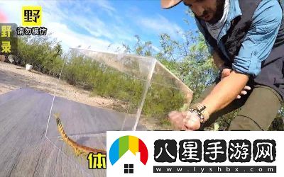 智慧再現(xiàn)！沙漠蜈蚣的必勝打法