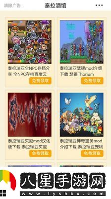 泰拉瑞亞游戲輔助工具選擇與風(fēng)險(xiǎn)預(yù)防