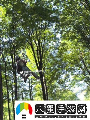 小腹叢林探險(xiǎn)