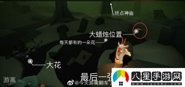 光遇11月2日大蠟燭位置介紹