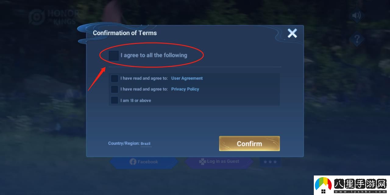 王者榮耀國(guó)際服