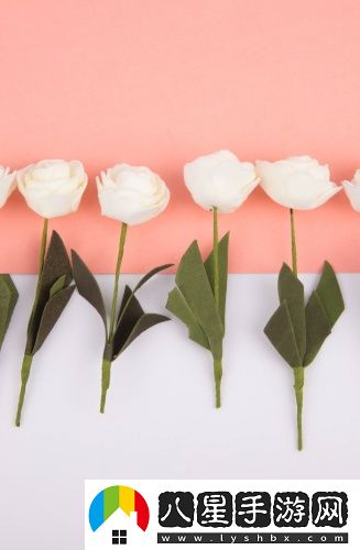 老老司機(jī)小區(qū)二區(qū)三區(qū)4區(qū)免費(fèi)觀看最新版